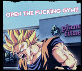 OPEN THE FUCKING GYM